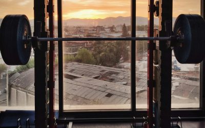 Holisztikus edző? Az milyen fán terem?