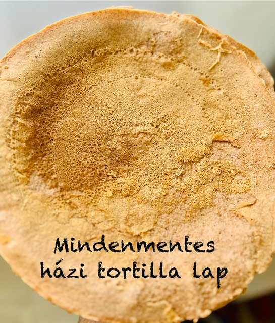 Mindenmentes házi tortilla lap