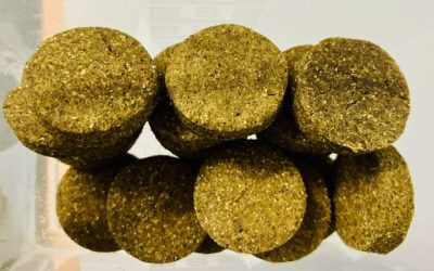 Tökmaglisztes pogácsa